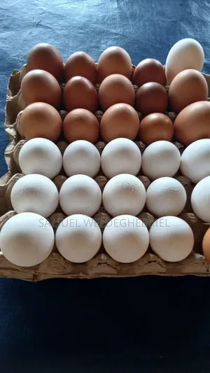 Fresh Clean Eggs