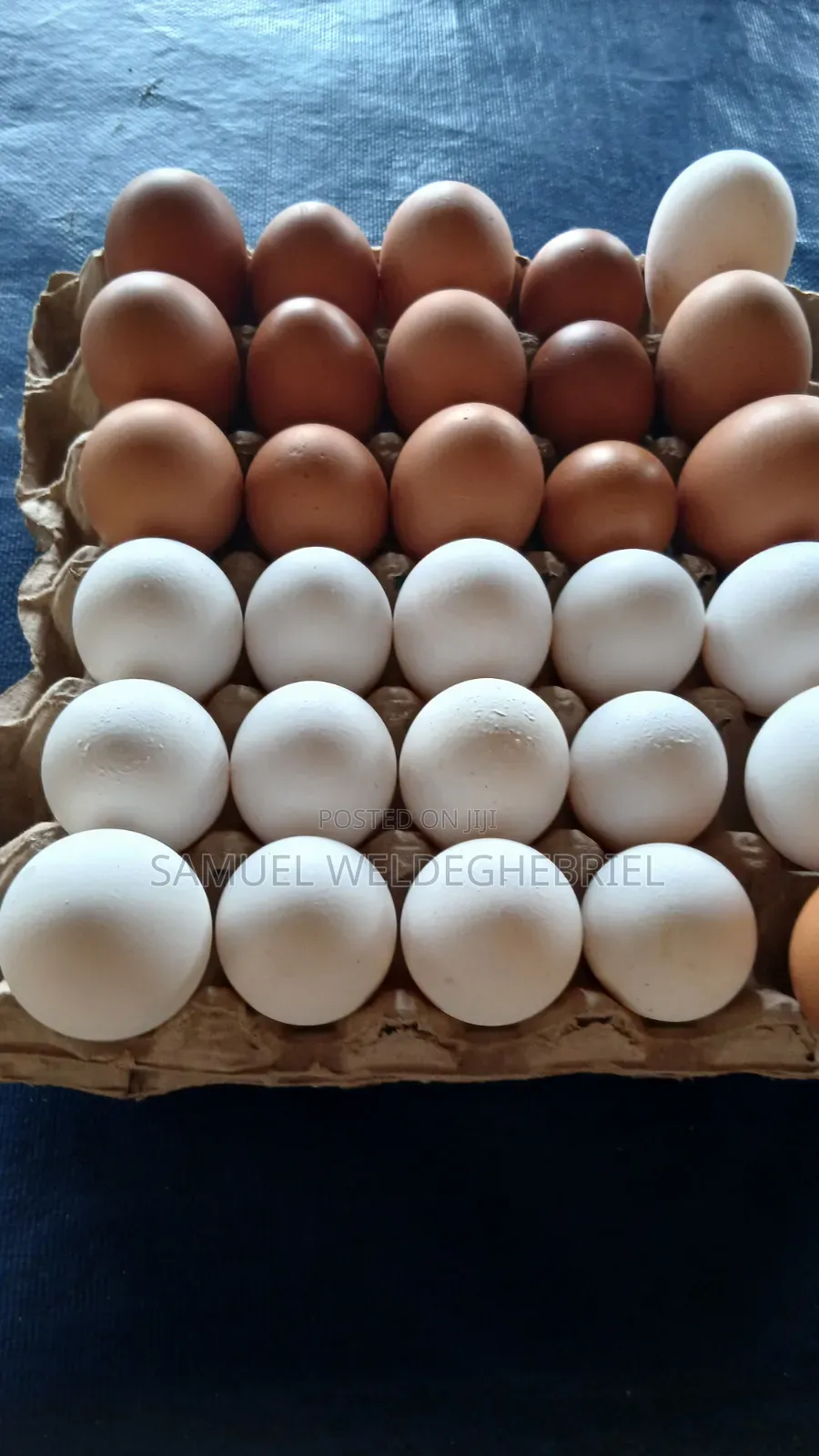 Fresh Clean Eggs
