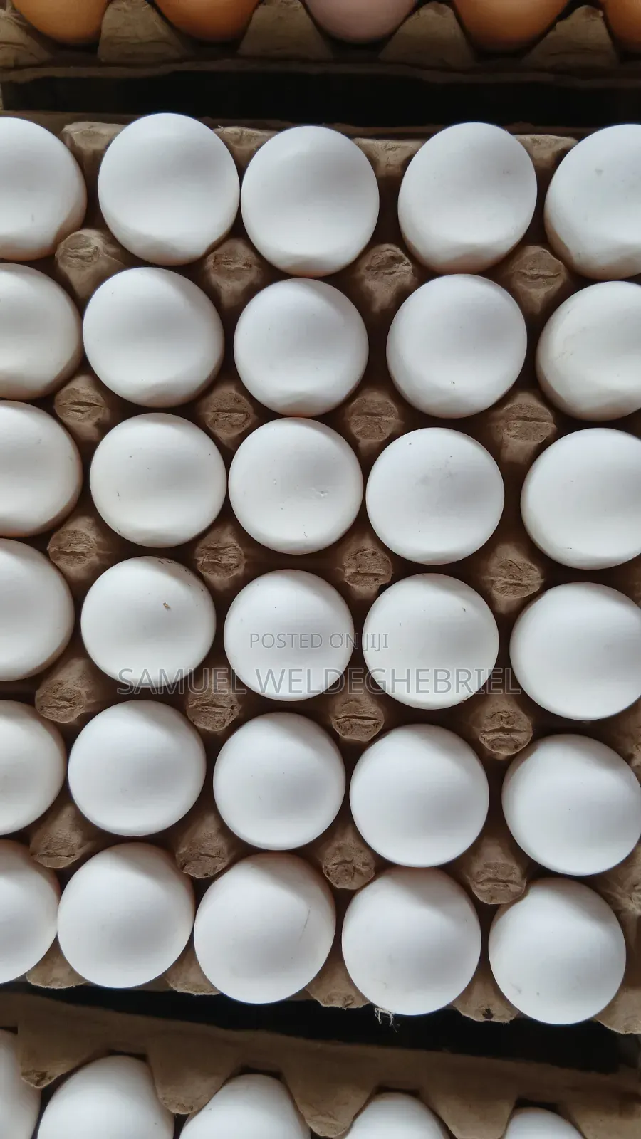Fresh Clean Eggs