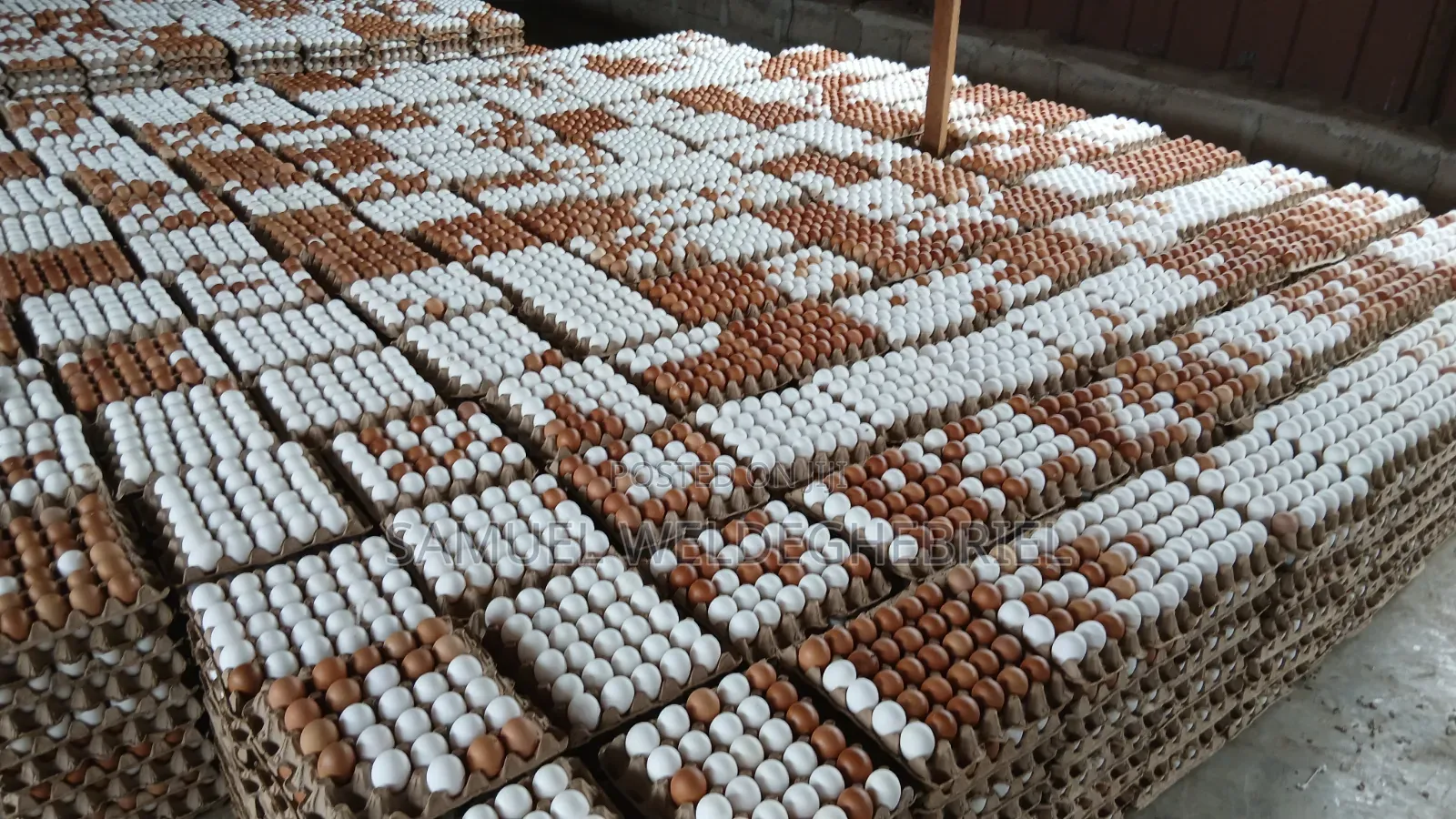 Fresh Clean Eggs