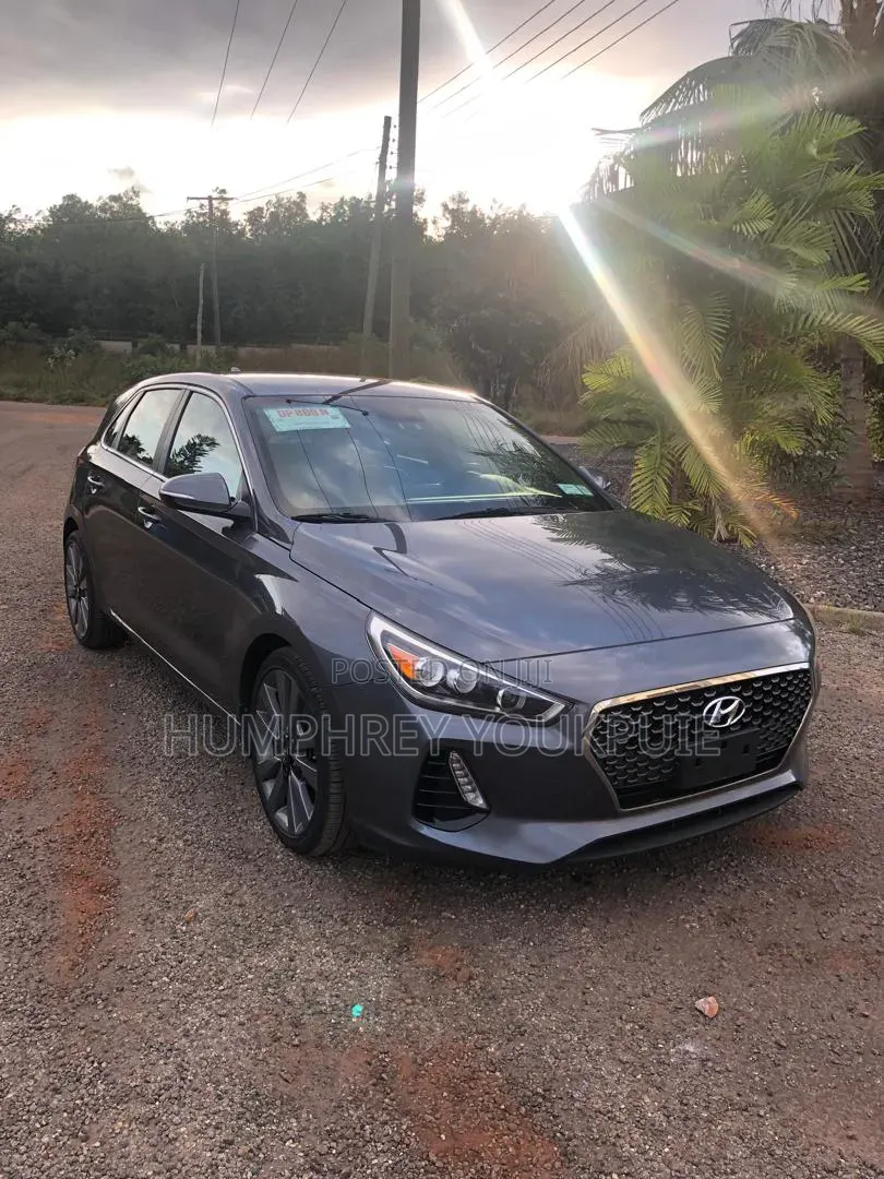 Hyundai Elantra Sport 2018 Gray