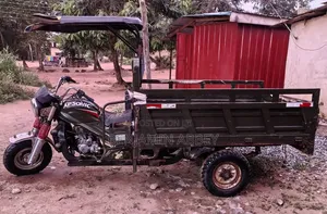 Tricycle 2023 Green