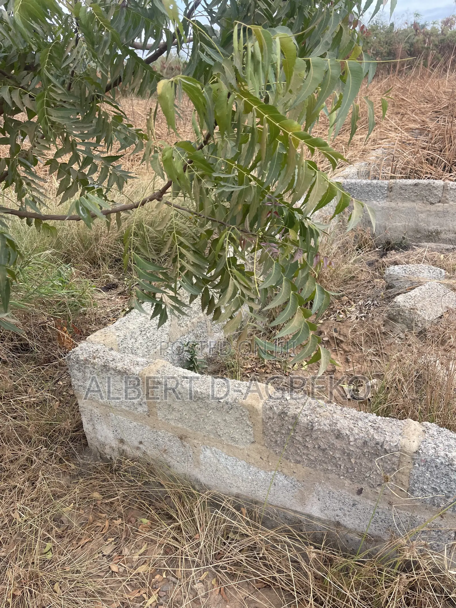 Registered Land for Sale