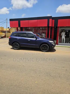 Hyundai Santa Fe Limited 2010 Blue