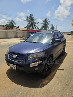 Hyundai Santa Fe Limited 2010 Blue