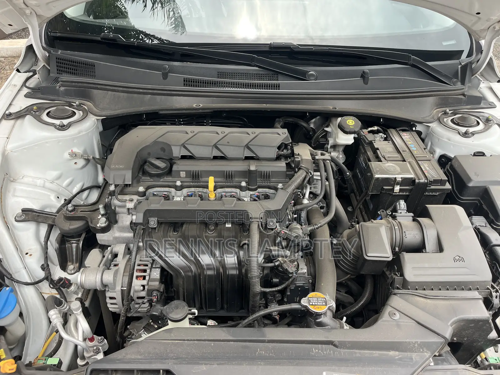 Hyundai Elantra 2023 White