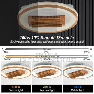 ZDSG-56463- Dimmable Voice Controls Ceiling Light