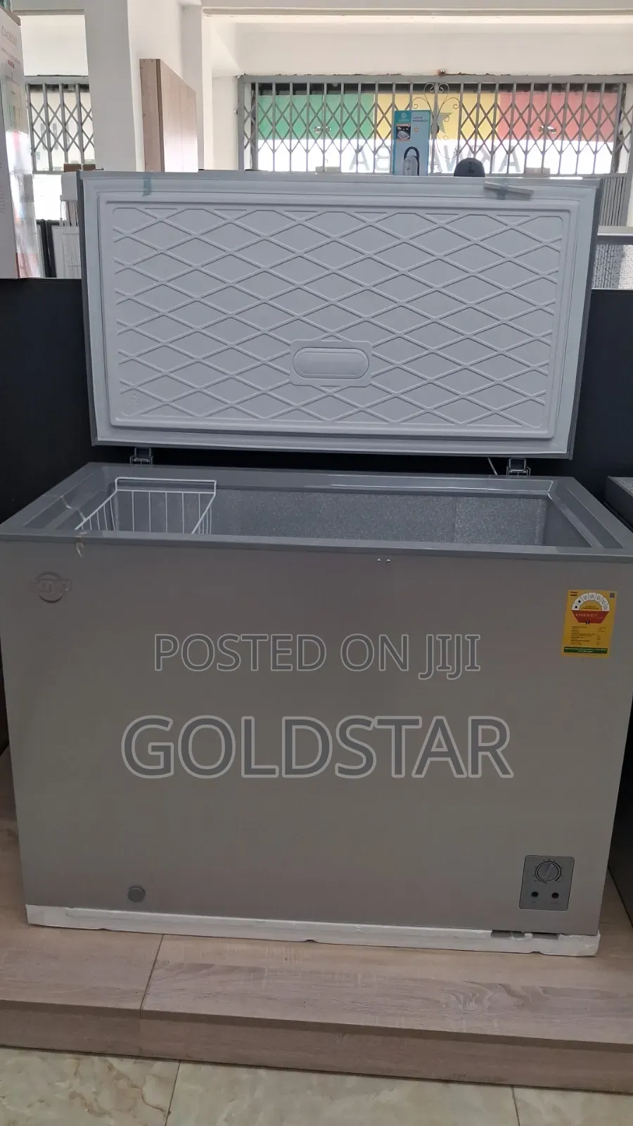 Saya 300L Chest Freezer