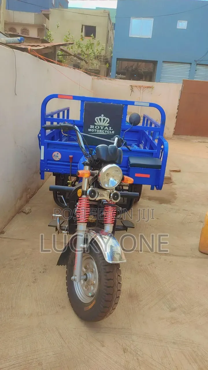 New Tricycle 2021 Blue