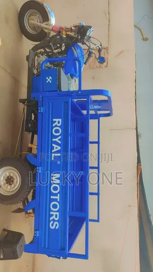 New Tricycle 2021 Blue