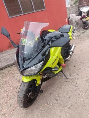 Kawasaki Ninja 1000 2019 Green