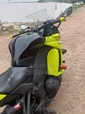 Kawasaki Ninja 1000 2019 Green