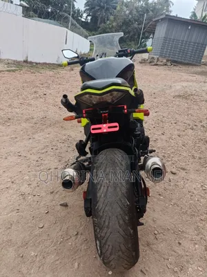 Kawasaki Ninja 1000 2019 Green