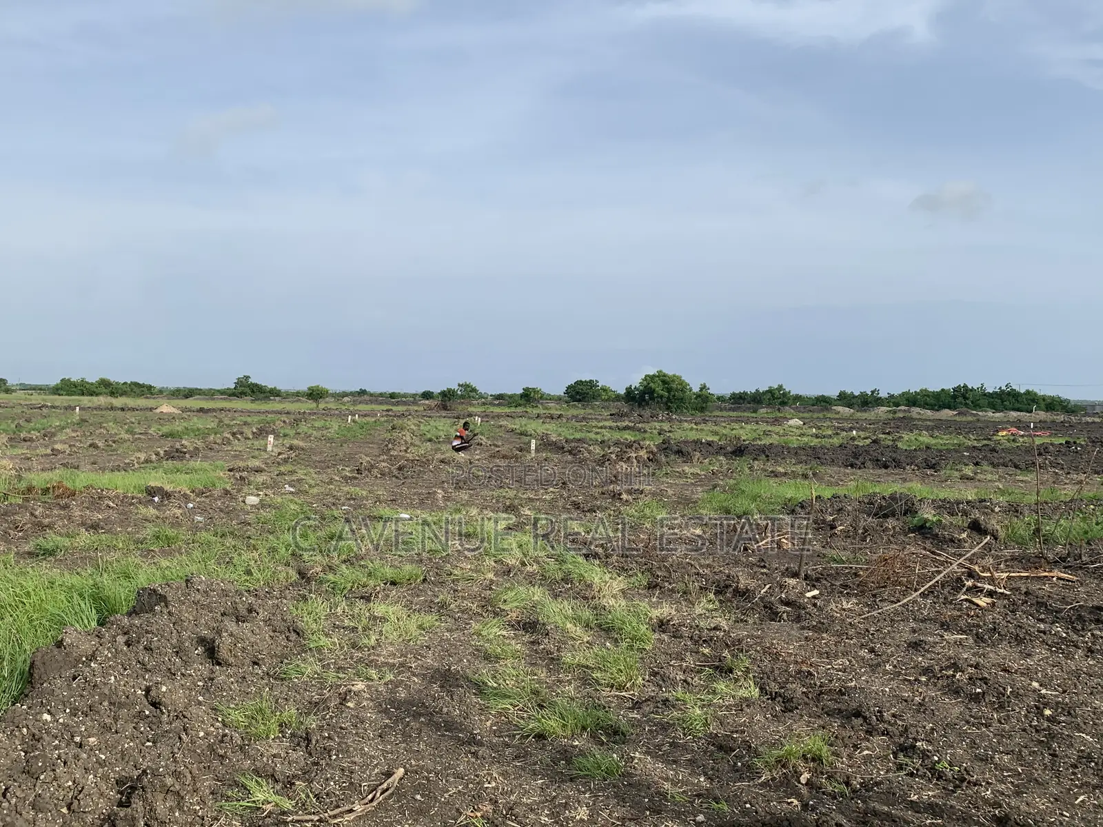 Dawhenya Zion City-Own Land in Dawhenya for Just GHC25,000!