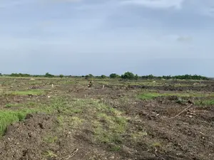 Dawhenya Zion City-Own Land in Dawhenya for Just GHC25,000!