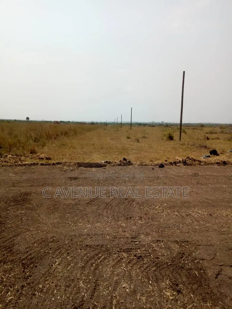 Dawhenya Zion City-Registered Litigation-Free Half Plot in Dawhenya