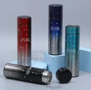 LED Display Thermo Flask
