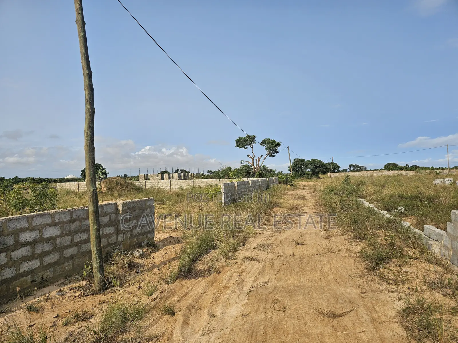 Prime 70x100ft Full Plot in Fast-Developing Prampram Beach Zone