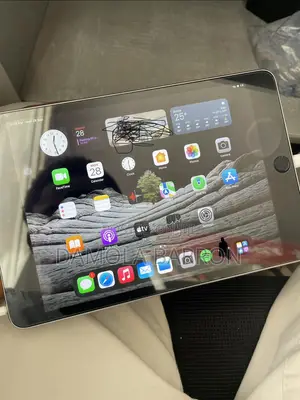 Apple iPad mini 4 16 GB Gray