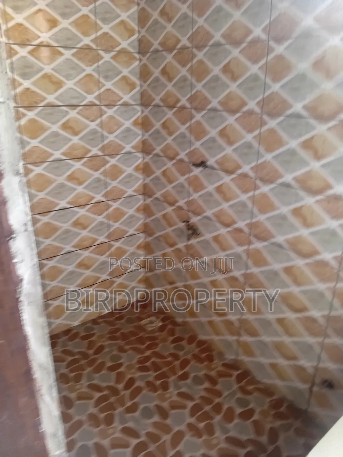1bdrm Room & Parlour in Bird-Group, Police Station for rent