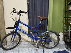 20" Louis Garneau Bicycle (Blue)