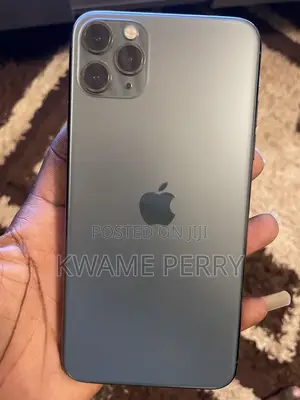 Apple iPhone 11 Pro Max 256 GB Gray