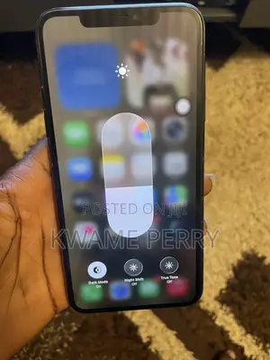 Apple iPhone 11 Pro Max 256 GB Gray
