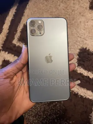 Apple iPhone 11 Pro Max 256 GB Gray