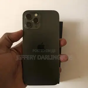 Apple iPhone 12 Pro Max 256 GB Graphite