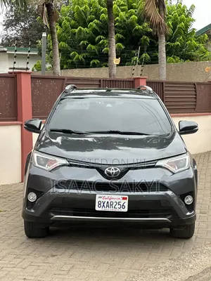 Toyota RAV4 XLE 4dr SUV AWD (2.5L 4cyl 6A) 2018 Gray
