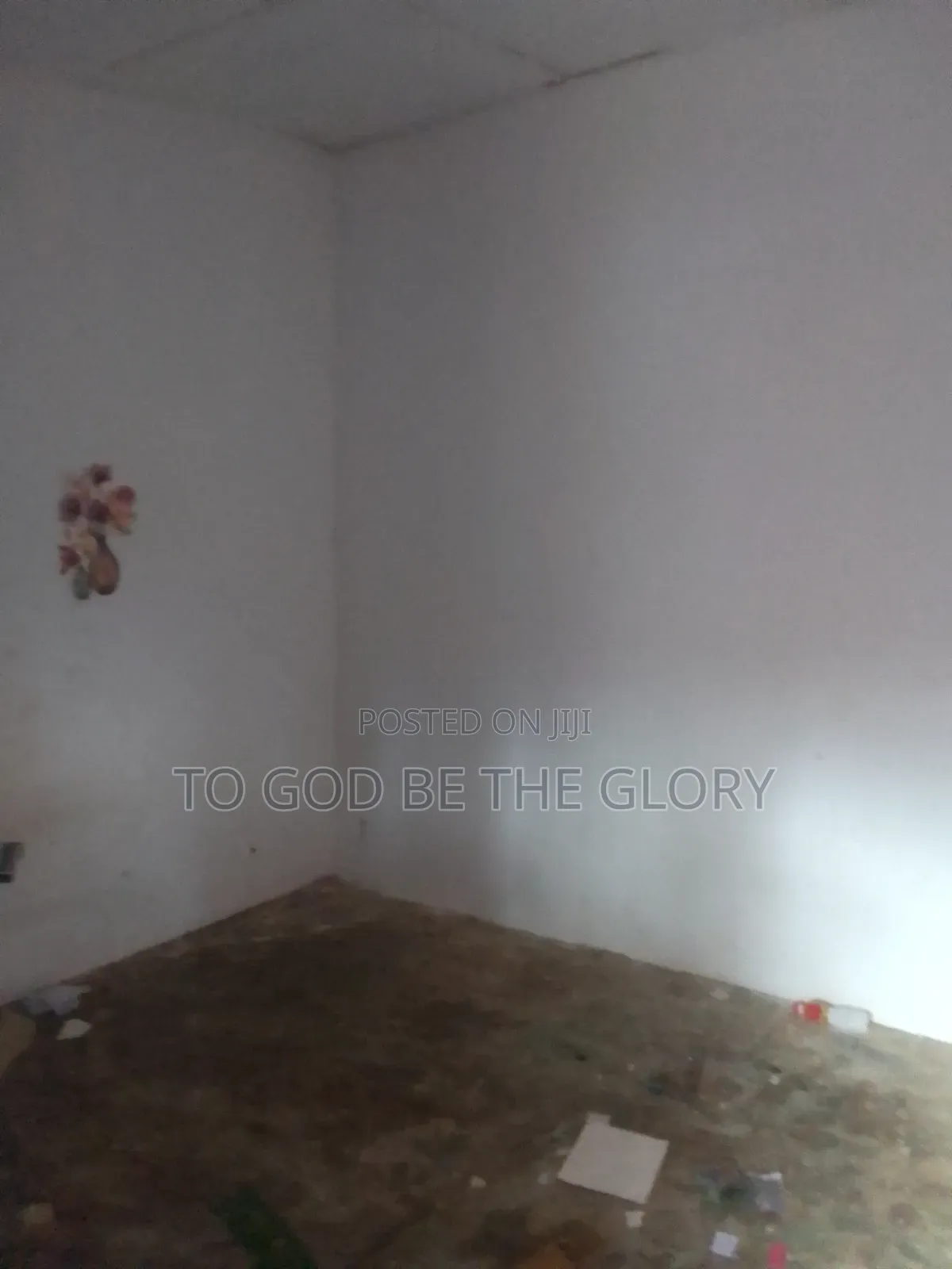 1bdrm House in Social Welfare for rent