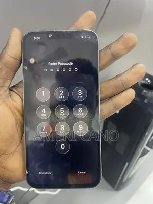 Apple iPhone 13 Pro Max 256 GB Black