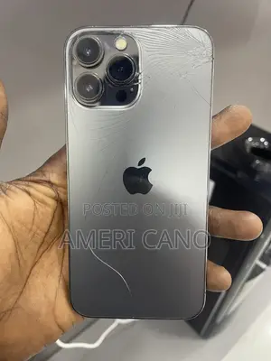 Apple iPhone 13 Pro Max 256 GB Black