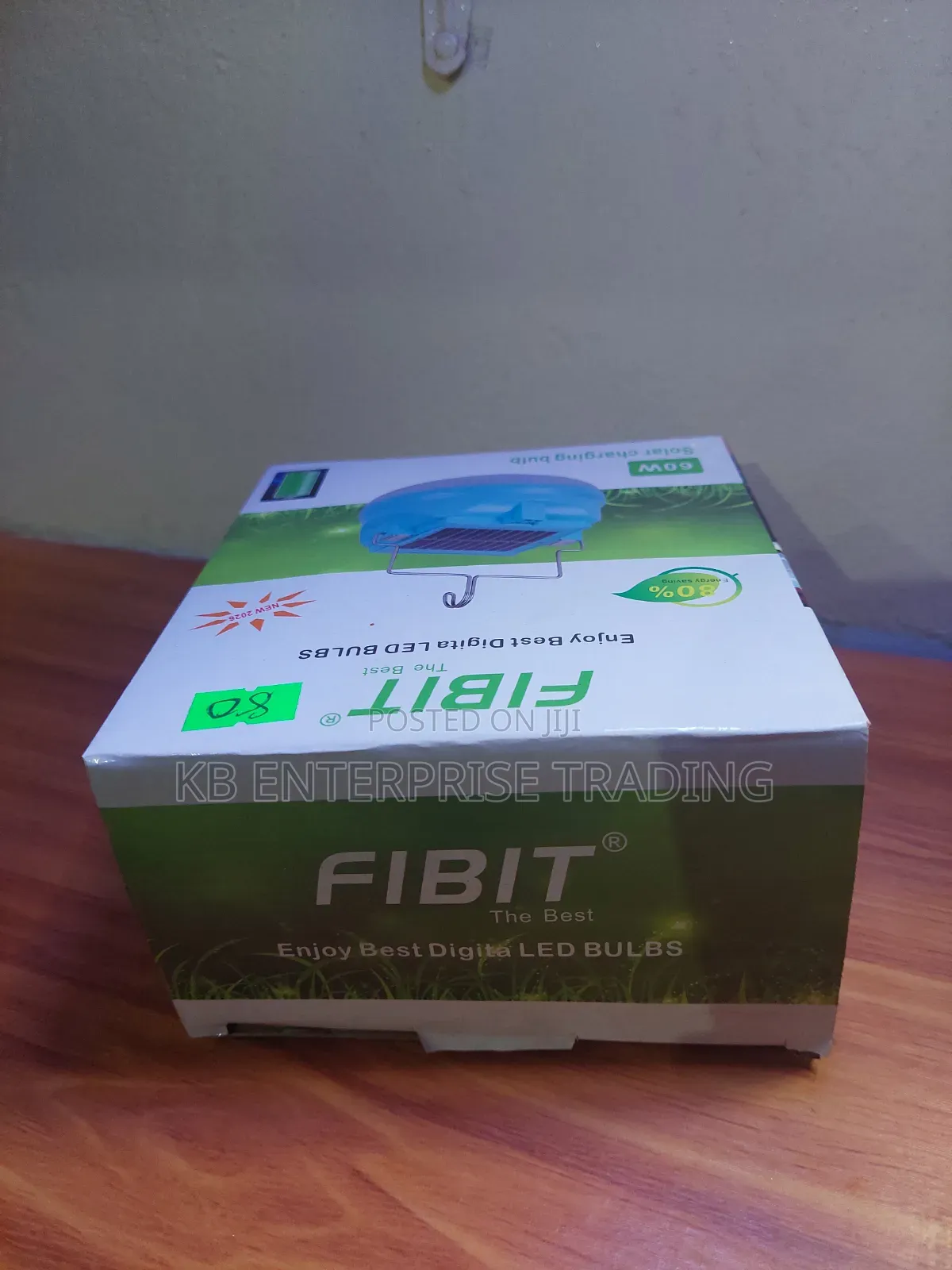 FIBIT 60W Solar Charging LED Bulb