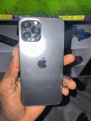 Apple iPhone 12 Pro Max 256 GB Black