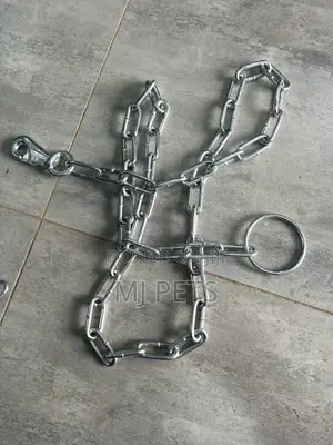 Ring Handle Pet Chain With Big Hook