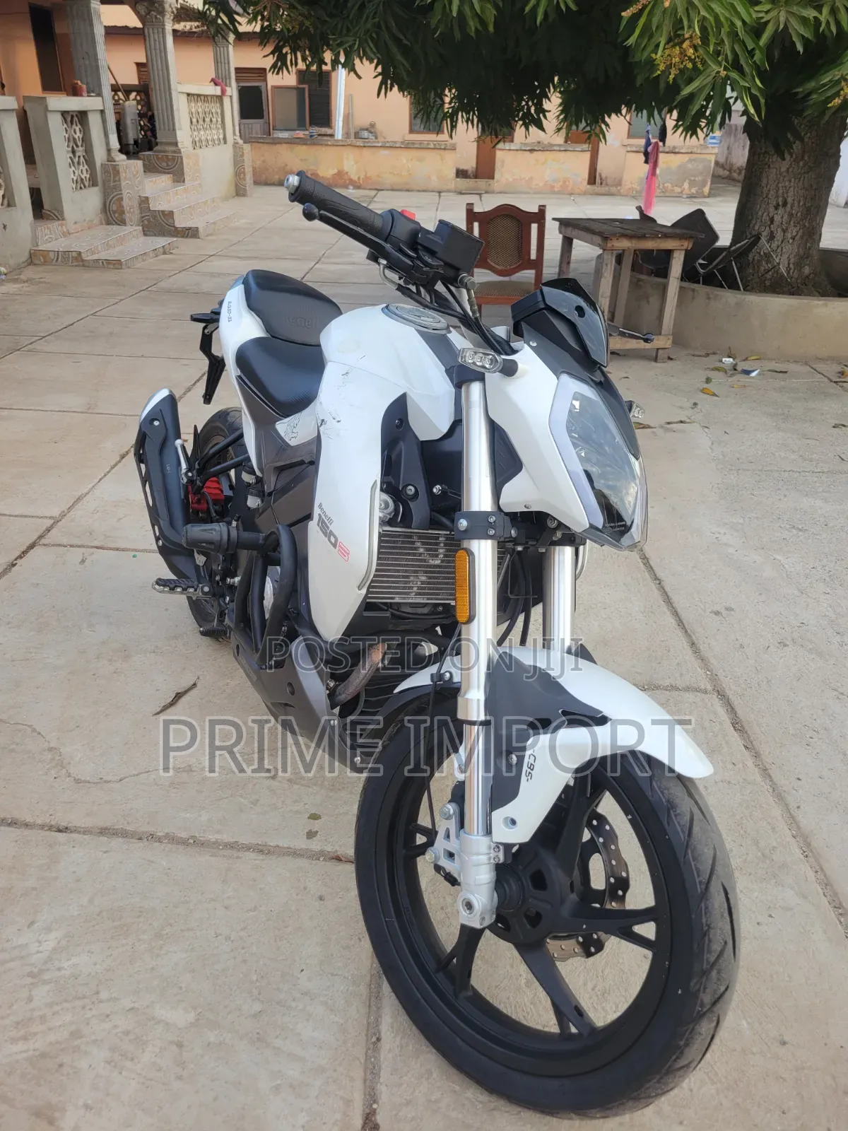 Benelli 2019 White
