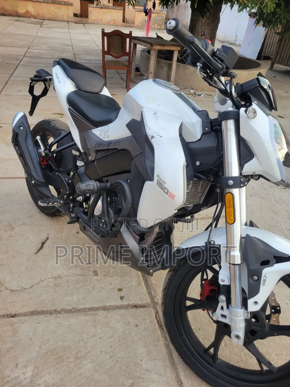 Benelli 2019 White