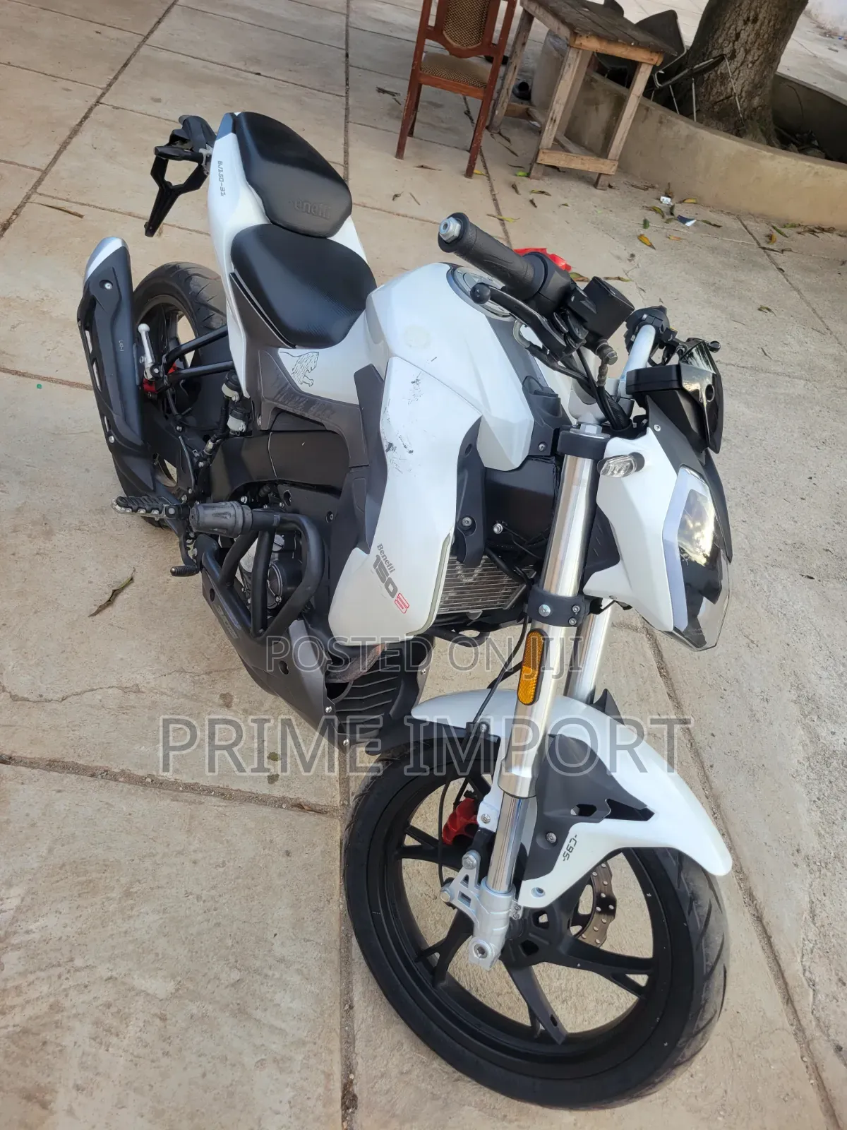 Benelli 2019 White