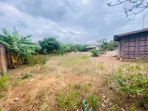 0.31 ACRE Land for Sale at Dome Pillar 2
