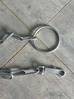 Ring Handle Pet Chain With Snag Hook