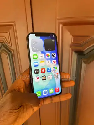 Apple iPhone 12 Pro Max 128 GB Blue