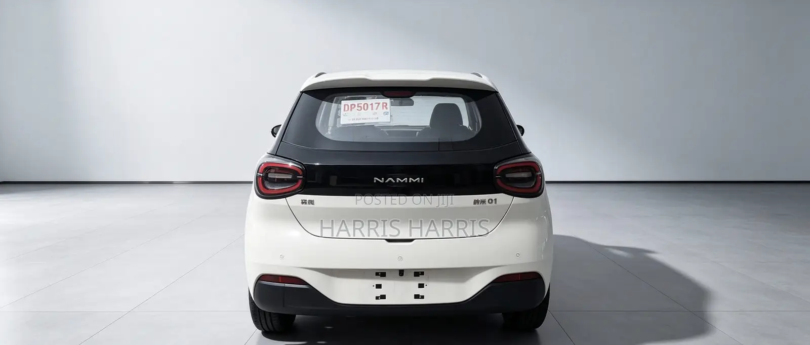 New Dongfeng Nammi 01 2025 White