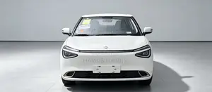 New Dongfeng Nammi 01 2025 White