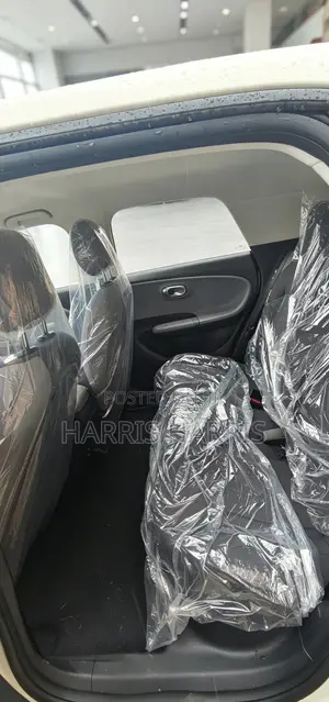 New Dongfeng Nammi 01 2025 White