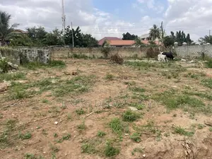 2 Acres of Titled Land Focus Sale