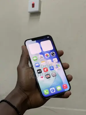 Apple iPhone 12 Pro Max 128 GB Gray
