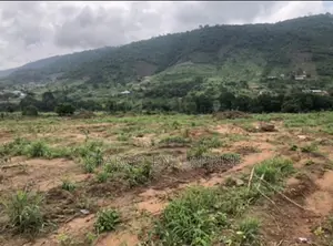 Pokuase DEDEIMAN