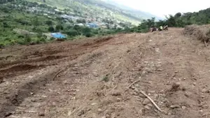 Pokuase DEDEIMAN