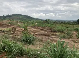 Pokuase DEDEIMAN